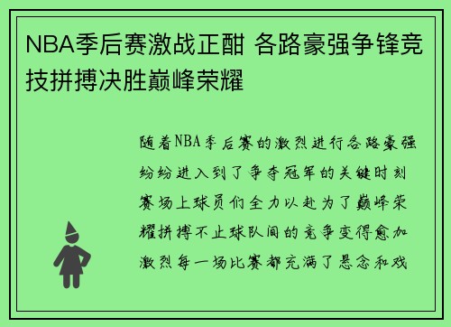 NBA季后赛激战正酣 各路豪强争锋竞技拼搏决胜巅峰荣耀